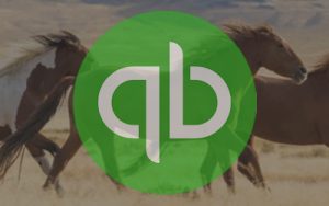 Can Quickbooks Keep Up?